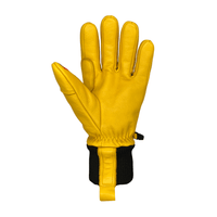Auclair Auclair Work 2.0 Men's Gloves Auclair Work 2.0 Men's Gloves - Ottawa Valley Air Paddle
