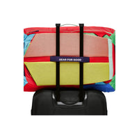 Cotopaxi Cotopaxi Allpa 42L Travel Pack - Del Dia Cotopaxi Allpa 42L Travel Pack - Del Dia - Ottawa Valley Air Paddle
