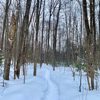 OVAP March 22 SNOVAP Winter Adventure Hike: Easy SNOVAP Winter Adventure Hikes - Ottawa Valley Air Paddle