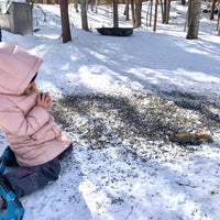 OVAP March 22 SNOVAP Winter Adventure Hike: Easy SNOVAP Winter Adventure Hikes - Ottawa Valley Air Paddle