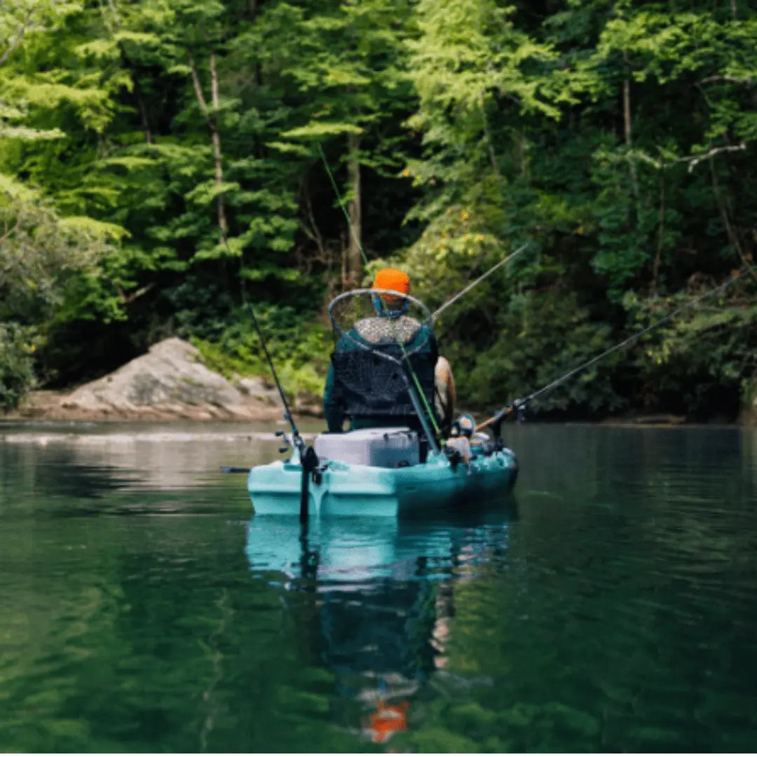 Perception Showdown 11.5