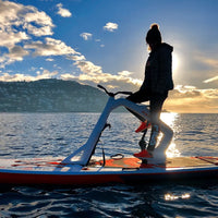 Red Shark Bites Red Shark Bikes ENJOY