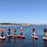 Red Shark Bites Red Shark Bikes ENJOY