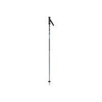 Rossignol Grey / 110 Rossignol Unisex Stovepipe All Mountain Poles Rossignol Unisex Stovepipe All Mountain Poles - Ottawa Valley Air