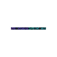 Smith Optics Smith Optics Kids Daredevil Goggles Smith Optics Kids Daredevil Goggles - Ottawa Valley Air Paddle