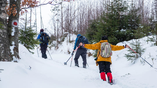 Top 10 Places to Snowshoe in the Ottawa Valley