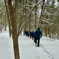 SNOVAP Senior (60+) Winter Adventure Hikes