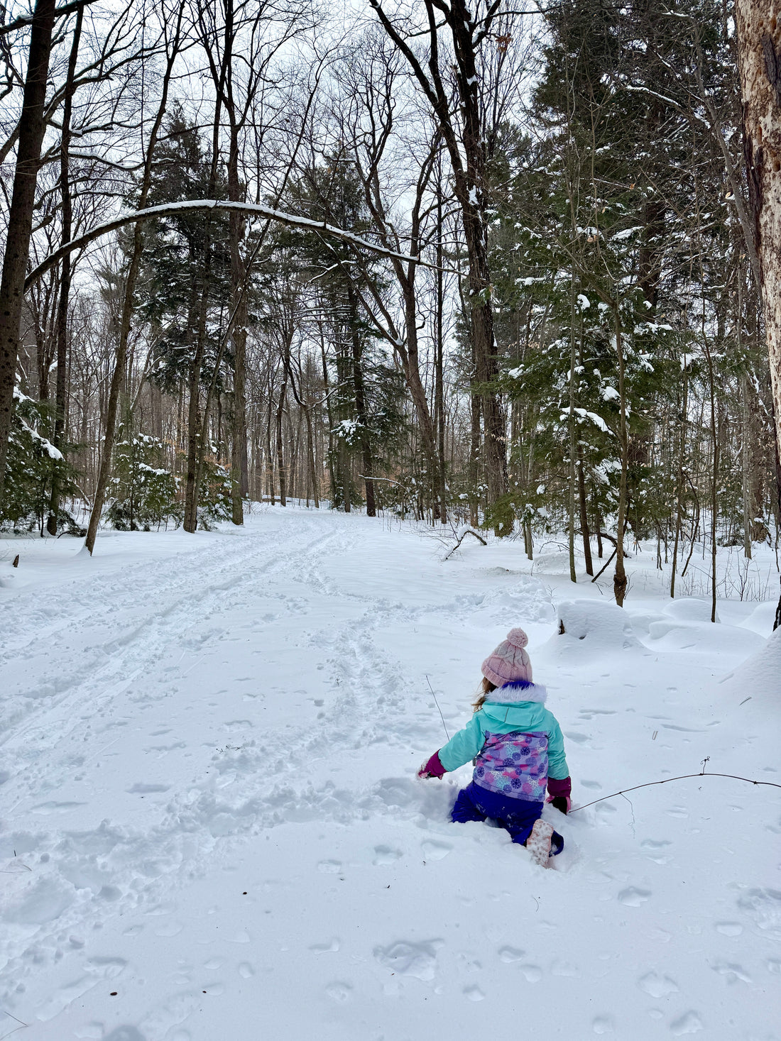 SNOVAP "Little Explorers" Kids Hike