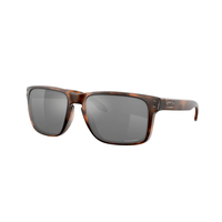 Oakley Oakley Holbrook™ XL Oakley Holbrook™ XL - Ottawa Valley Air Paddle