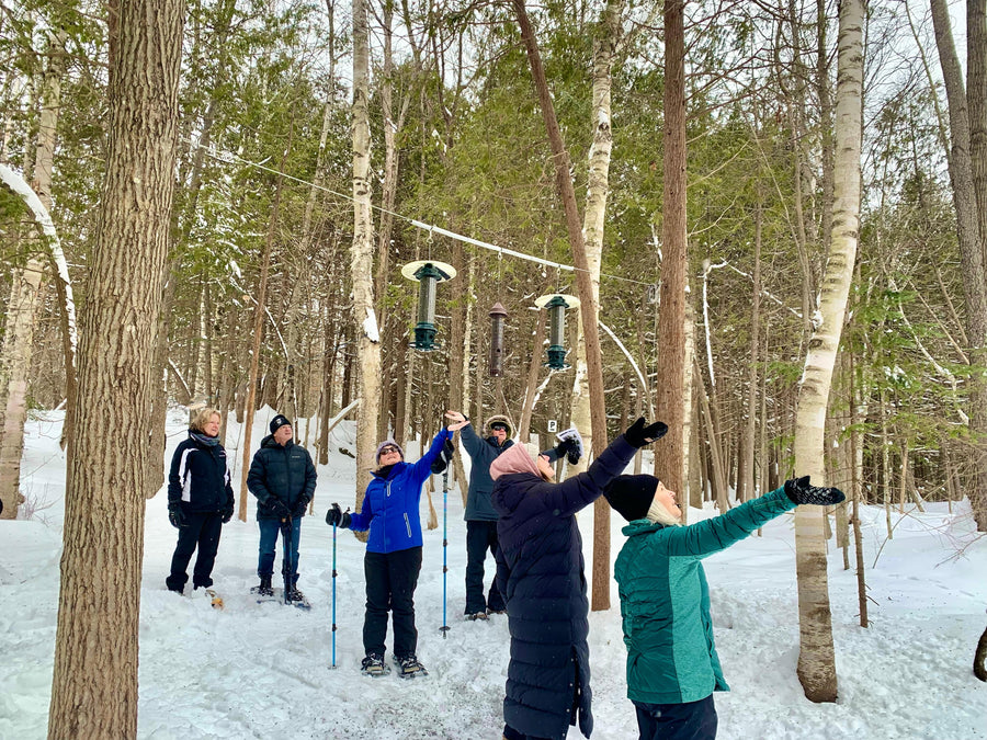 OVAP March 22 SNOVAP Winter Adventure Hike: Easy SNOVAP Winter Adventure Hikes - Ottawa Valley Air Paddle