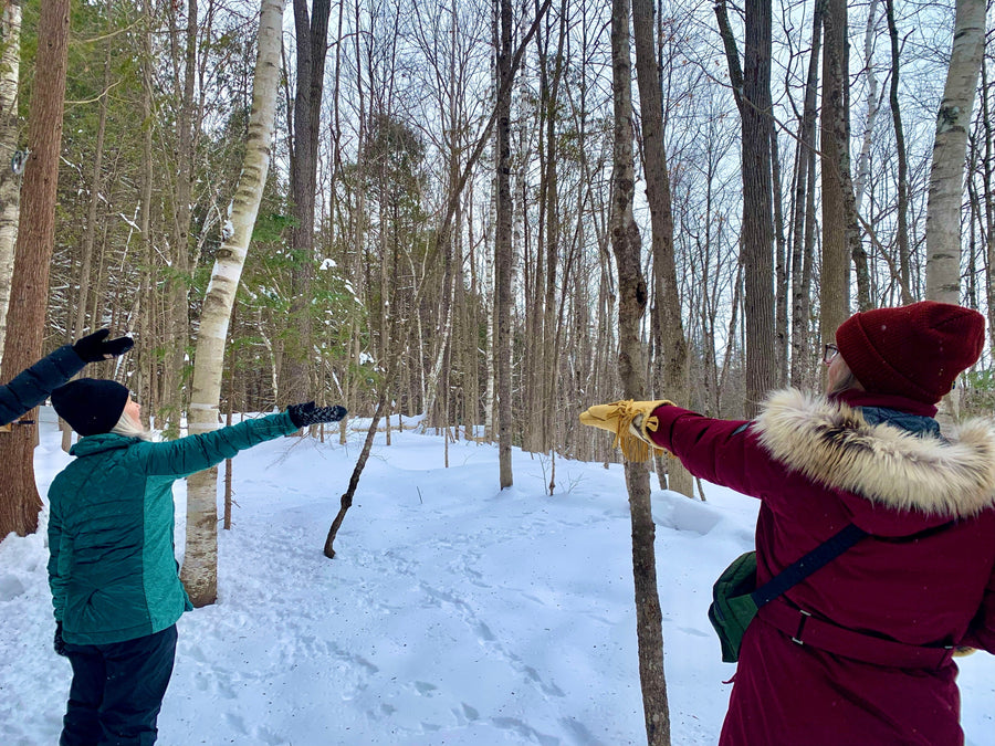 OVAP March 22 SNOVAP Winter Adventure Hike: Easy SNOVAP Winter Adventure Hikes - Ottawa Valley Air Paddle