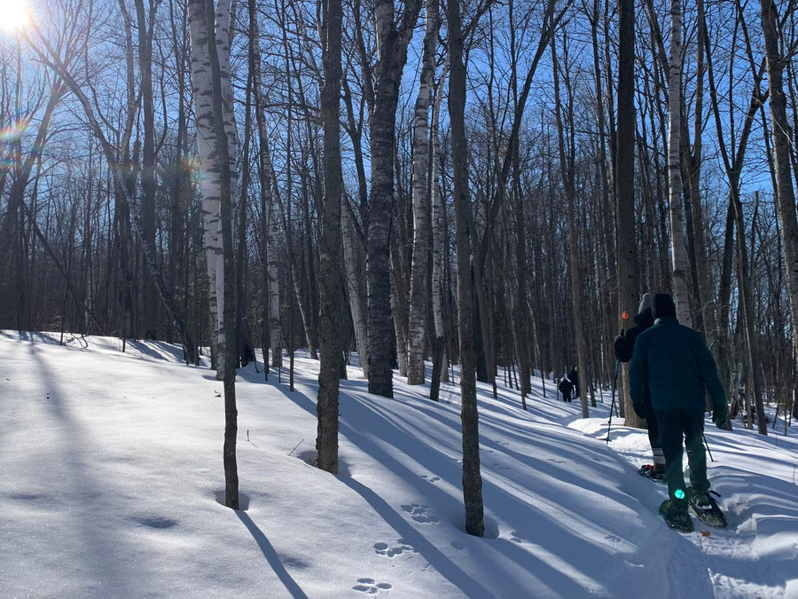 OVAP March 29 SNOVAP Winter Adventure Hike: Intermediate SNOVAP Winter Adventure Hikes - Ottawa Valley Air Paddle