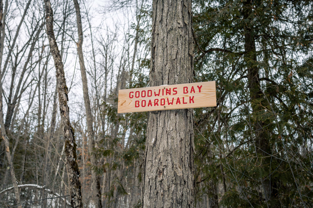 OVAP SNOVAP Winter Adventure Walks SNOVAP Winter Adventure Walks - Ottawa Valley Air Paddle