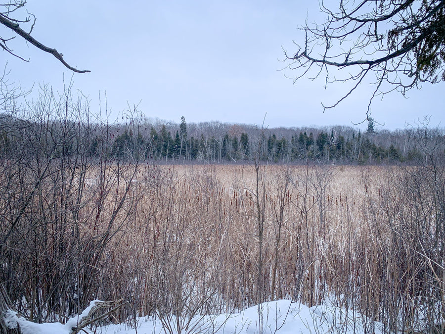 OVAP SNOVAP Winter Adventure Walks Witches Paddle - Ottawa Valley Air Paddle