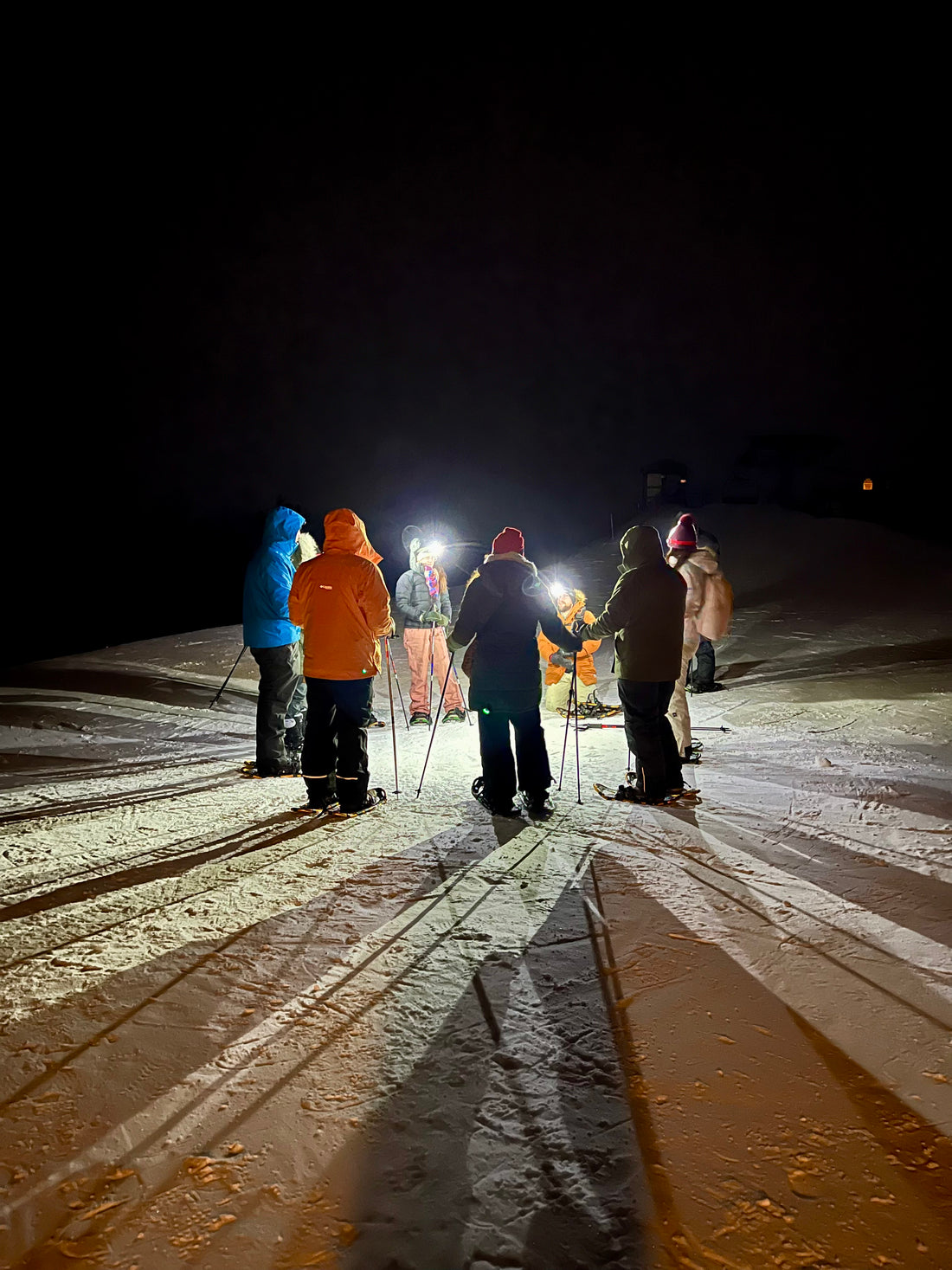 OVAP Snowshoe Summit Tour Snowshoe Summit Tour - Ottawa Valley Air Paddle