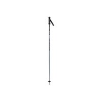 Rossignol Grey / 110 Rossignol Unisex Stovepipe All Mountain Poles Rossignol Unisex Stovepipe All Mountain Poles - Ottawa Valley Air 