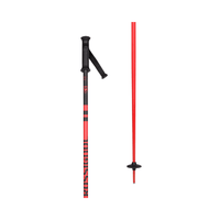 Rossignol Rossignol Unisex Stovepipe All Mountain Poles Rossignol Unisex Stovepipe All Mountain Poles - Ottawa Valley Air 