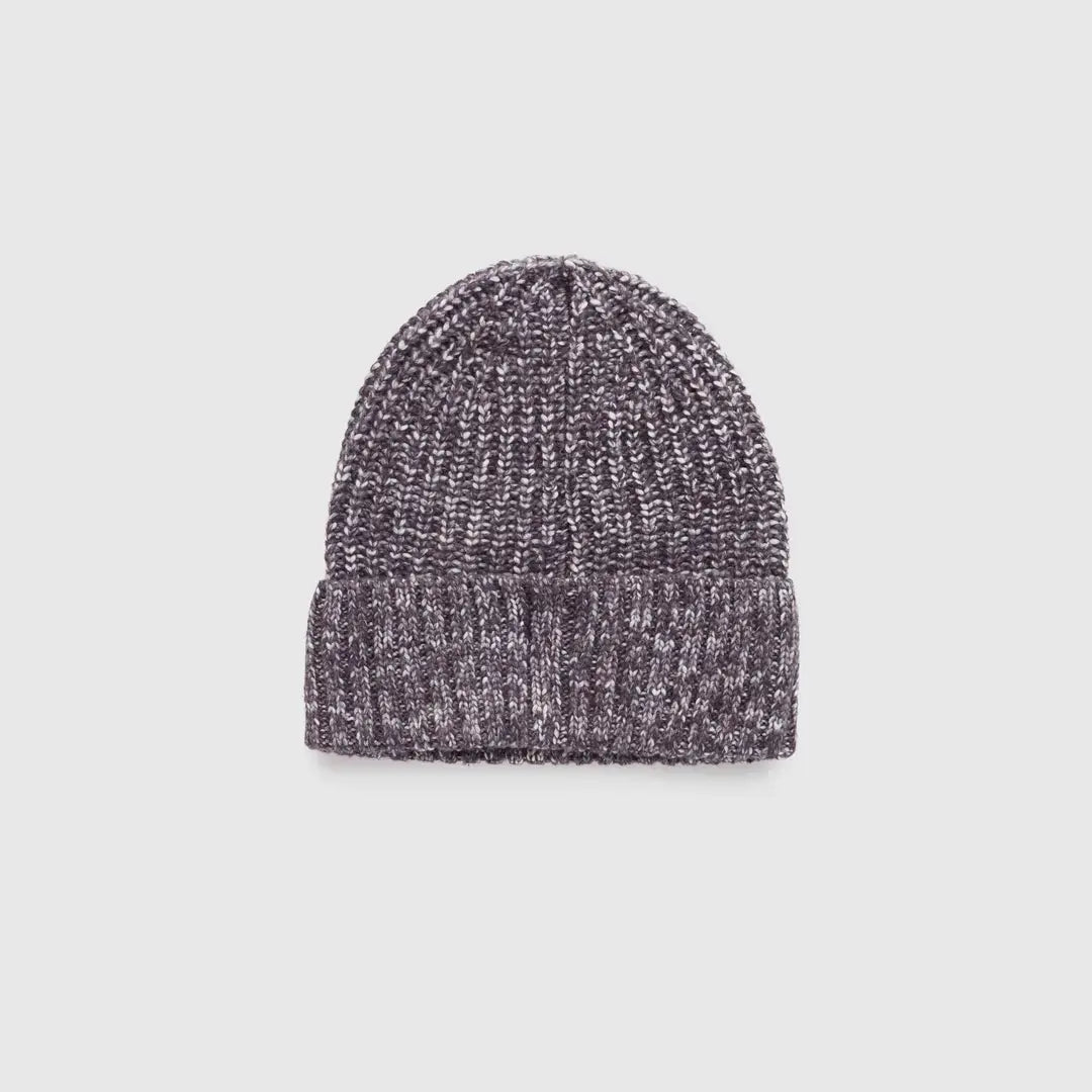 Tentree Mitchell Beanie